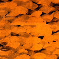 Similar image 883330