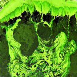 Similar image 883376