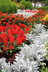 Similar image 883387