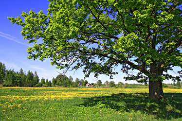 Similar image 883395