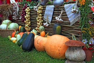 Similar image 883401