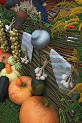 Similar image 883406