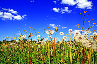 Similar image 883409