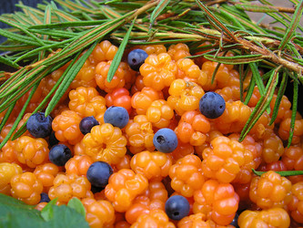 Similar image 883421