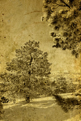 Similar image 883539