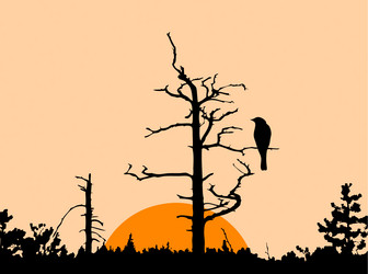 Similar image 883551