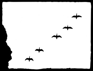 Similar image 883552