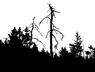 Similar image 883575