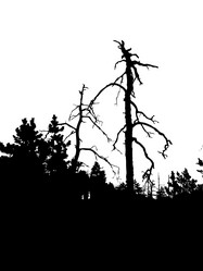 Similar image 883579