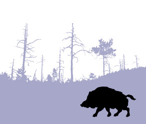 Similar image 883594