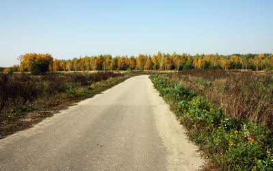 Similar image 883615