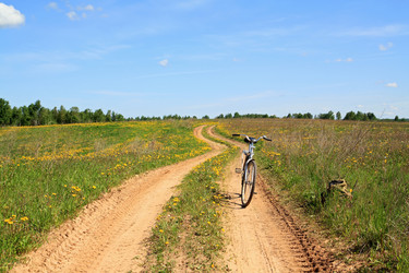 Similar image 883617