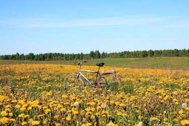 Similar image 883618