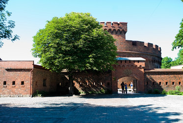 Similar image 883635