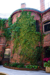 Similar image 883637