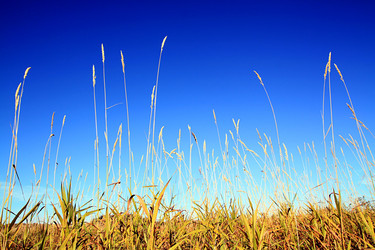 Similar image 883650