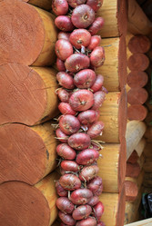 Similar image 883655