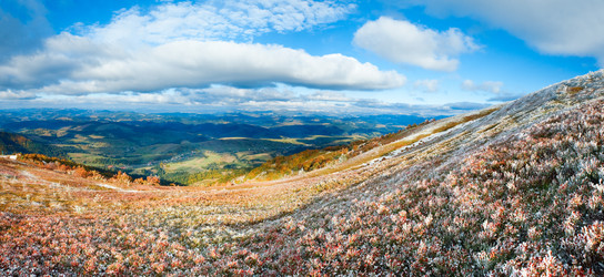 Similar image 883656