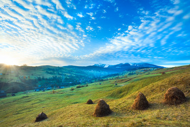 Similar image 883666