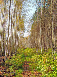 Similar image 883669