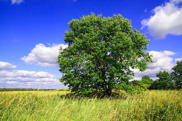 Similar image 883673