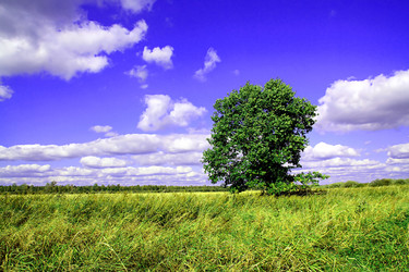 Similar image 883674