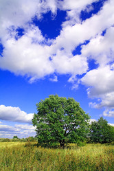 Similar image 883675