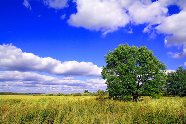 Similar image 883676