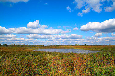 Similar image 883683