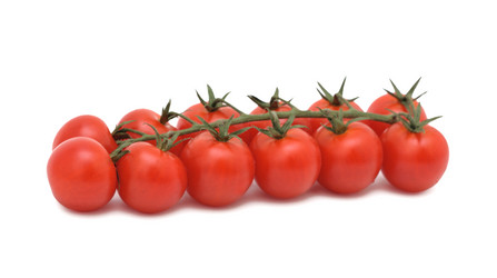 Similar image 883686