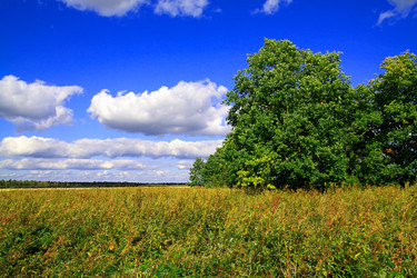 Similar image 883688