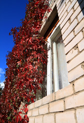 Similar image 883697