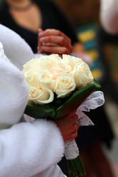 Similar image 883698