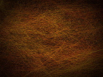 Similar image 883720