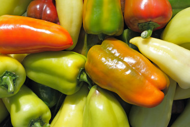 Similar image 883723