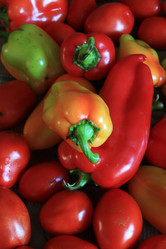 Similar image 883732