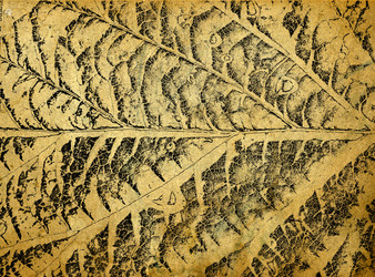 Similar image 883755