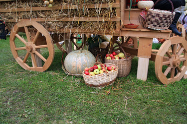 Similar image 883769