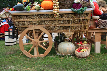 Similar image 883771