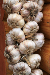 Similar image 883797