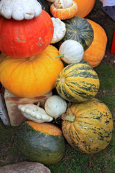 Similar image 883800