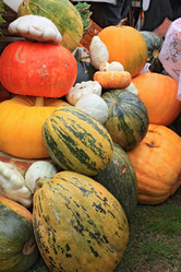 Similar image 883809