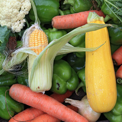 Similar image 883810