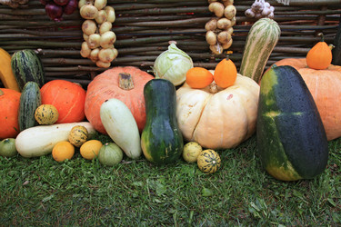 Similar image 883820