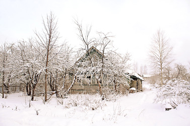 Similar image 883840