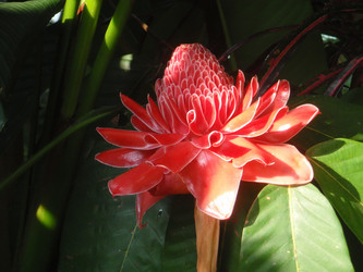 Similar image 883868