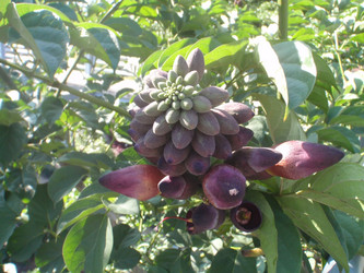 Similar image 883876