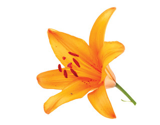 Similar image 883895