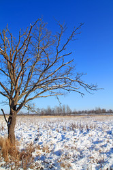 Similar image 883930