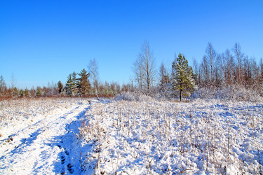 Similar image 883936